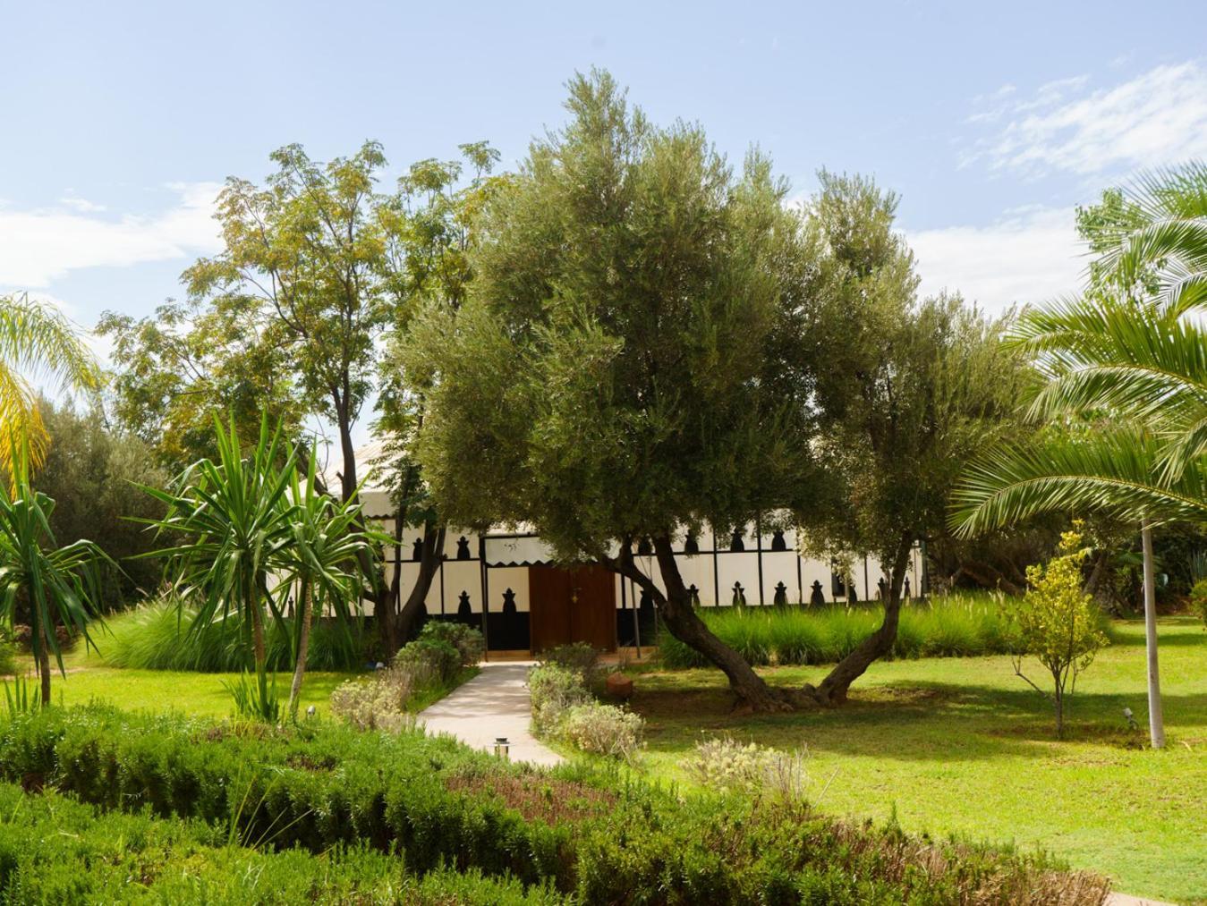 Villa Marco Au jardin des senteurs El Ain Extérieur photo