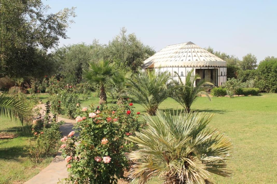 Villa Marco Au jardin des senteurs El Ain Extérieur photo